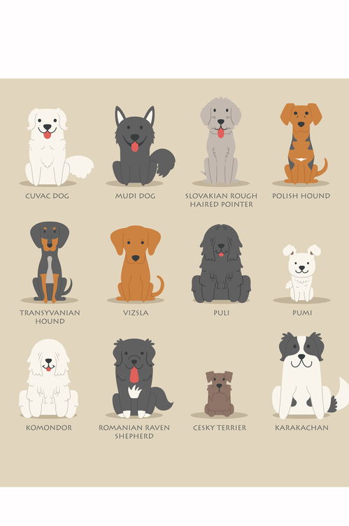 宠物狗有哪些品种