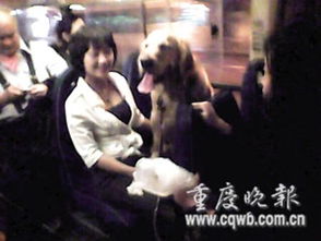 中国本土原生犬有多少类型,作为中国人你应该知道