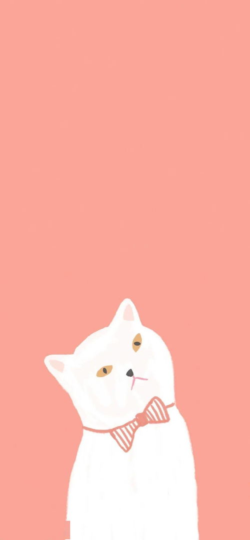 手绘猫狗猪松鼠鸡鸭动物图片大小3072x4107px