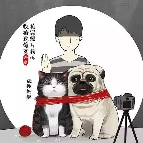 桦南云端猫舍