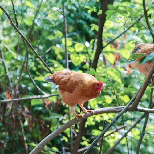 发现频道