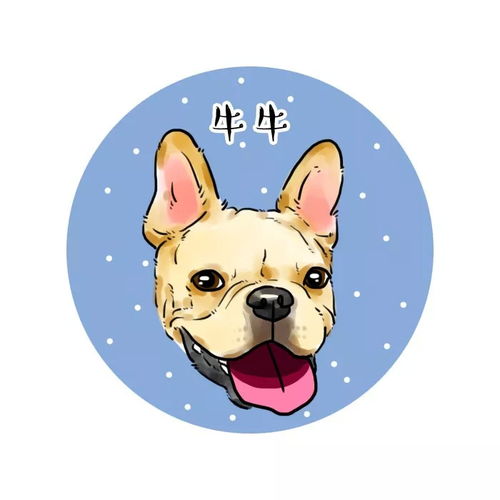 金毛寻回犬电脑壁纸