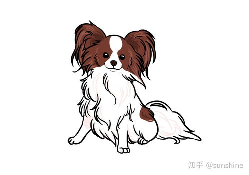 卡通猫狗友好宠物标签素材图片免费下载