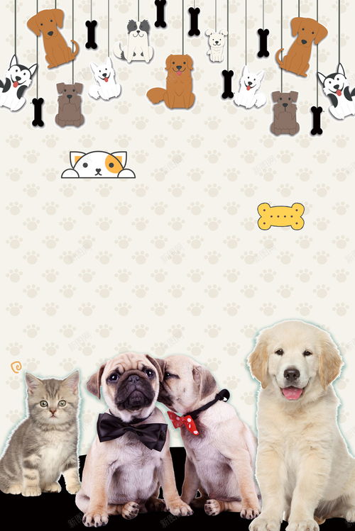 桔色斑纹卡通宠物小猫图片素材