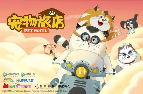 小狗西洋狗类猫狗动物世界家居宠物图片素材