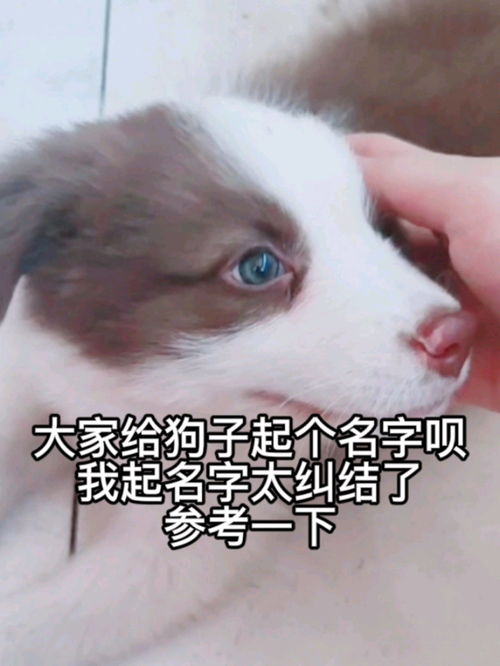 是白兔子养大了好看