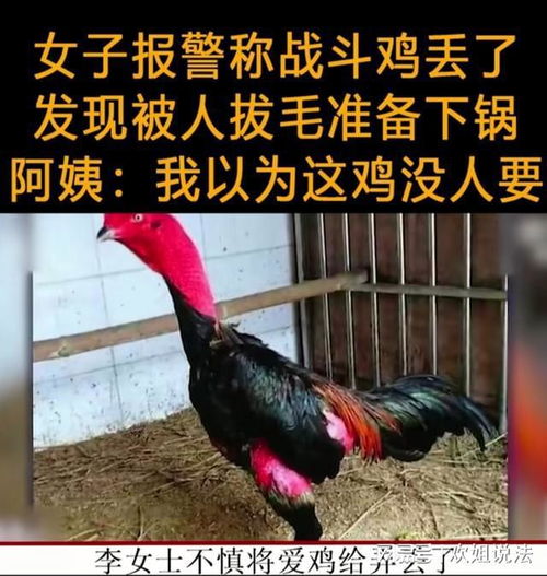 迷你狼