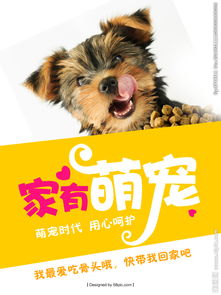 为什么宠物犬有饮食禁忌,而中华田园犬可以随便吃