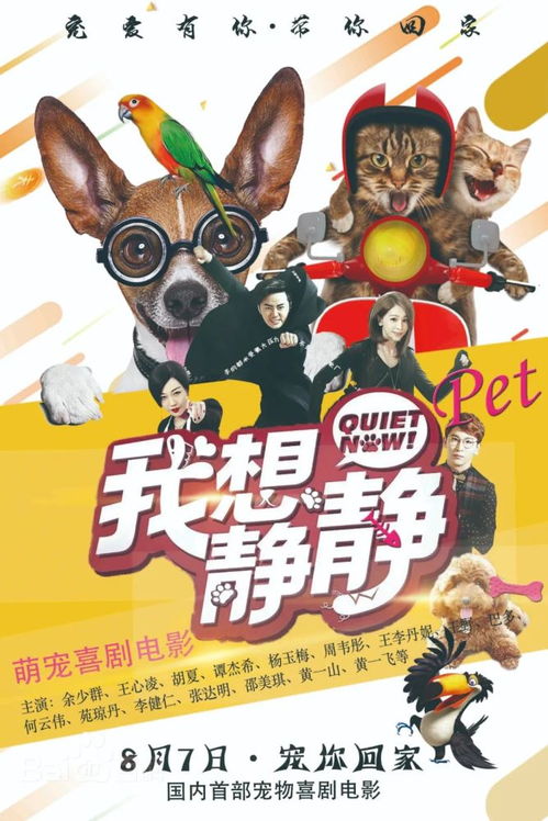 白猫草坪动物猫咪摄影图图片