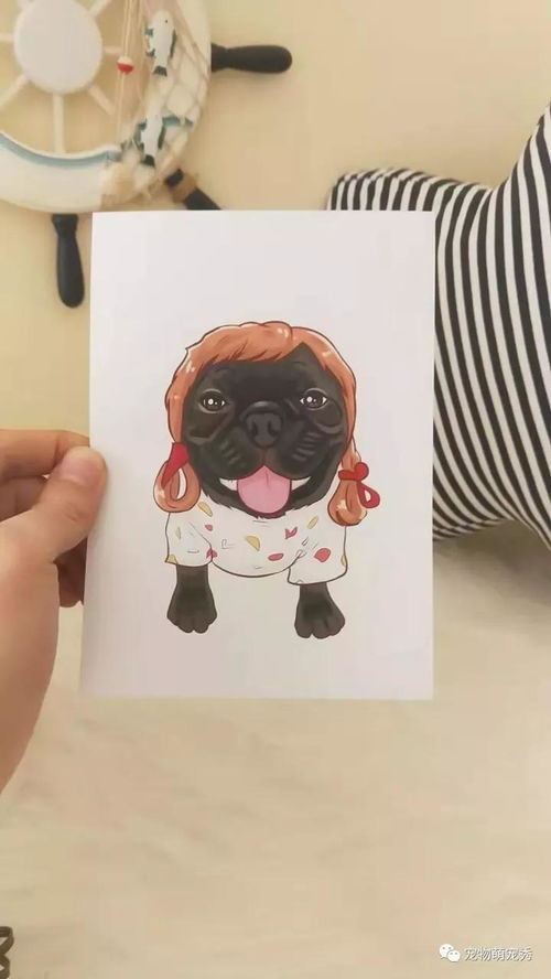 油画写实风格宠物狗狗画像