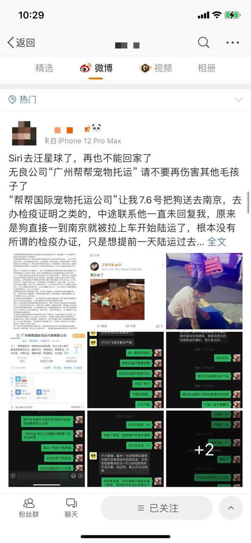 只要拿出手机给猫拍照,猫眼立刻瞪大数倍