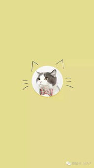 宠物卡通可爱花猫猫咪标签装饰素材图片免费下载