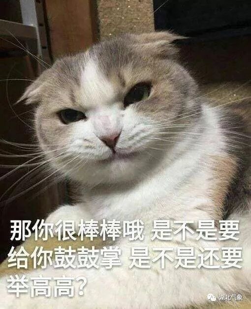 猫咪拉稀可以喝奶粉吗,猫咪拉稀期间怎么调养