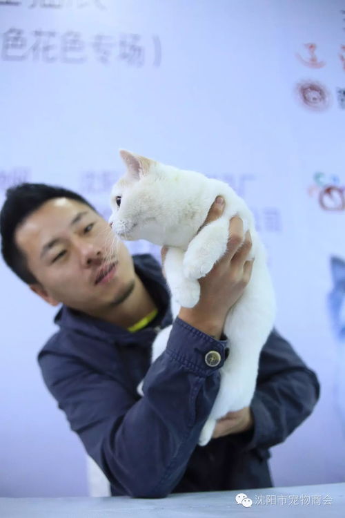 周海媚携爱犬拍写真变天真少女