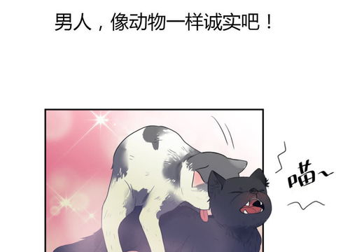 猫咪与狗狗图片图片