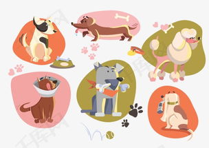 可爱的宠物松鼠人物插画图片素材