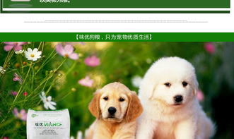 两个多月比熊犬可不可以吃鸡蛋黄