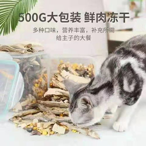 电子宠物进化出