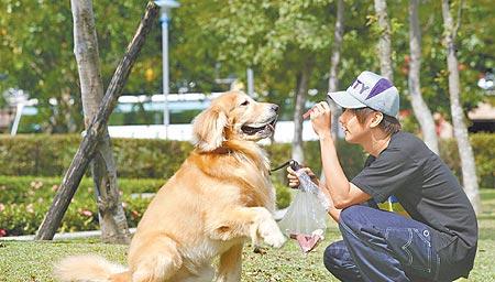 自制狗粮怎样选食材,宠物医生说