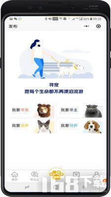 pet丶灵儿.动漫宠物萌图