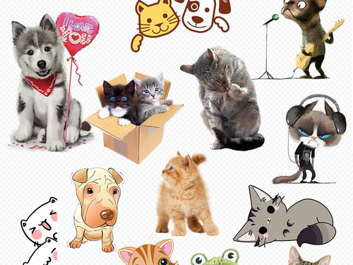 宠物卡通可爱小猫猫咪标签装饰图片大小2000x2000px