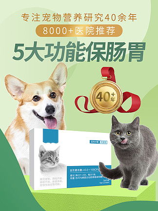 猫喜欢开灯还是关灯