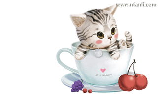 手绘可爱猫咪动物卡通透明素材图片大小1024x1024px
