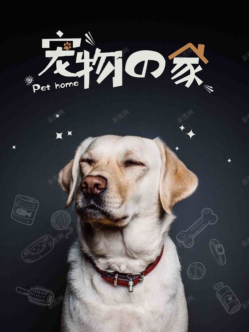 狗狗卡通宠物背景图片免费下载
