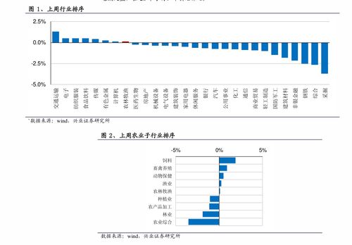 宠物壁纸