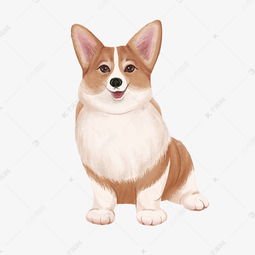 这种小狗狗的名字是什么