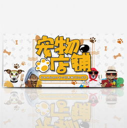 中国体育彩票代销者app官方下载