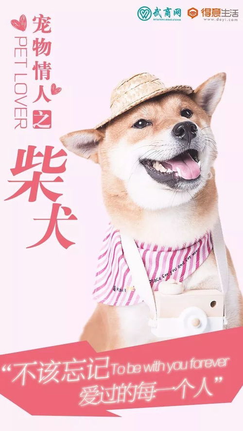 北京家福犬业