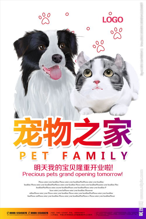 缅因猫身材魁梧,声音却很稚嫩,猫界