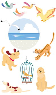 可爱卡通宠物动物展板挂图模板图片素材
