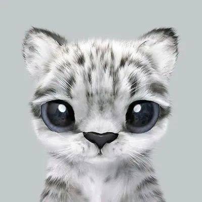 包邮英短蓝白猫宠物猫咪纯种英国短毛猫英短蓝白蓝猫活体幼猫种苗