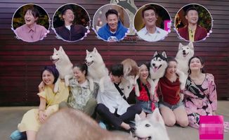 星巴克在上海开了11家宠物友好店