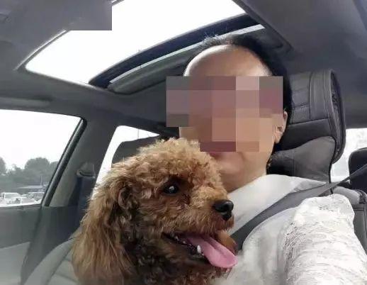 百色宠物狗犬舍出售纯种小短腿柯基犬网上卖狗买狗地方在哪有狗市场