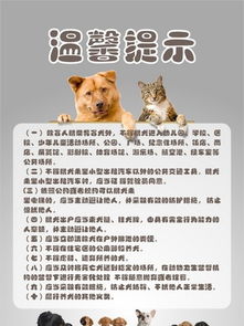 绊运猫舍