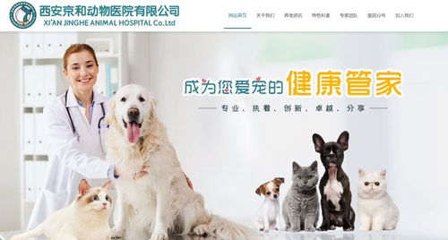 十大受欢迎的宠物猫咪品种,你家主子上榜了么