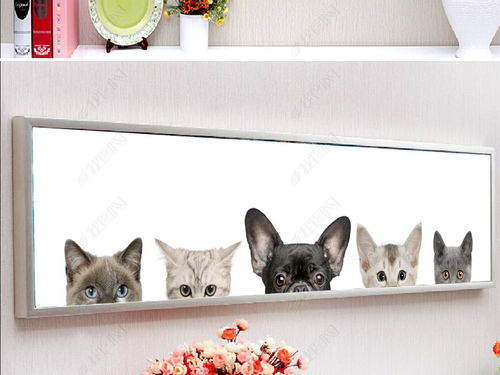 可爱宠物小猫创意表情手机壁纸图片