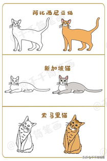可爱卡通小猫咪手绘素材图片免费下载