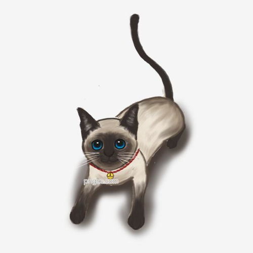 北欧现代可爱猫狗宠物床头画家居装饰画图片下载