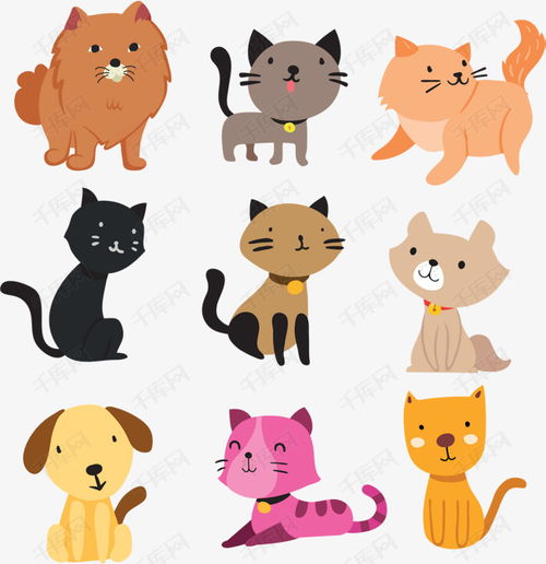 不同种类的猫,性格特征是不相同的,宠物猫的种类有哪些