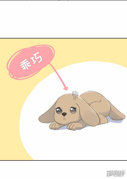 可爱宠物小海獭卡通插画素材图片免费下载