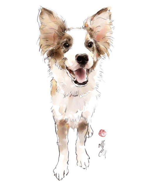 手绘卡通可爱泰迪宠物狗素材图片免费下载